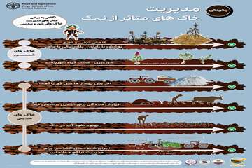 چگونگی مدیریت خاک های متاثر از نمک